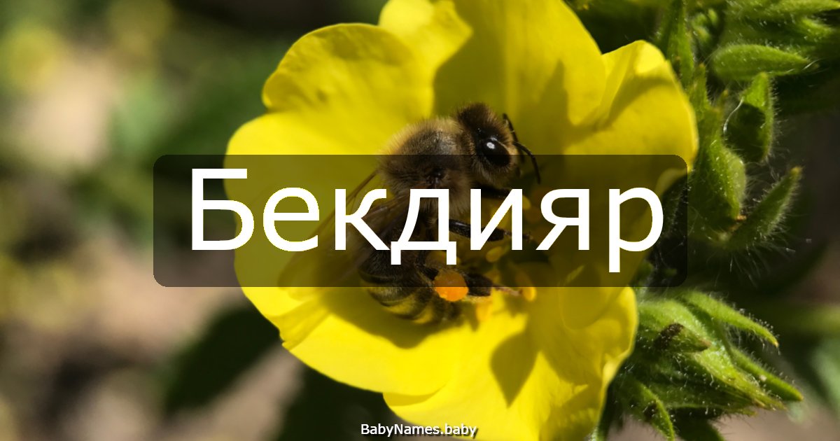 Бекдияр