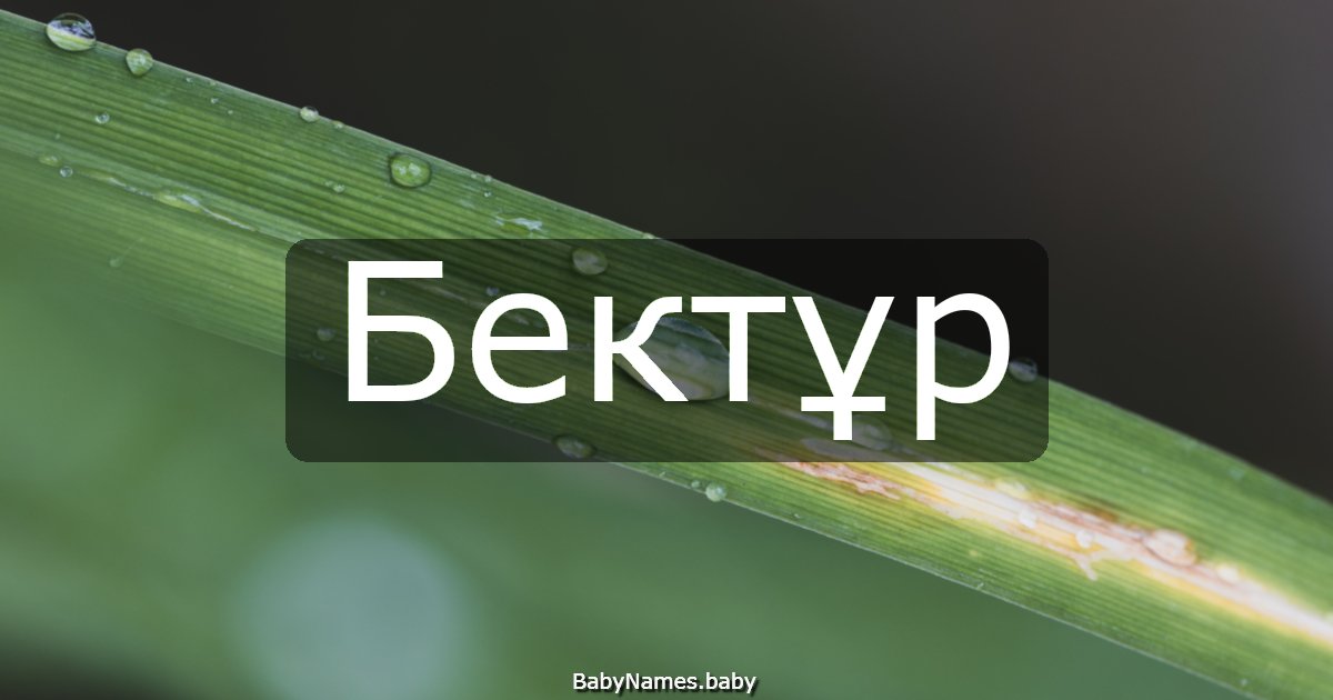 Бектұр