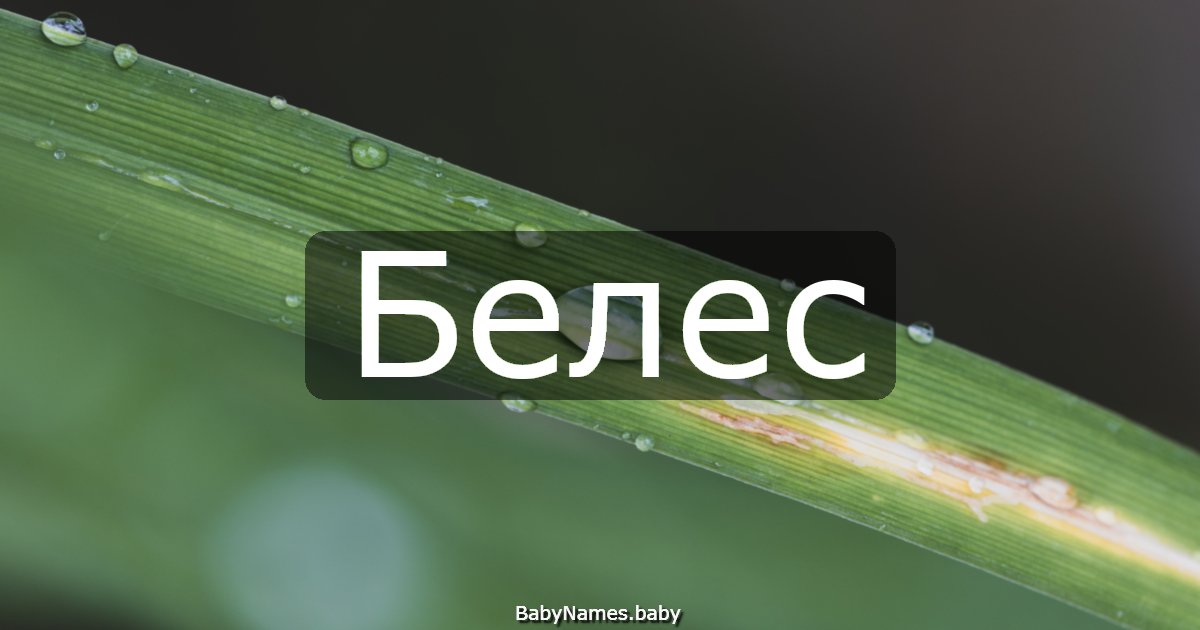 Белес