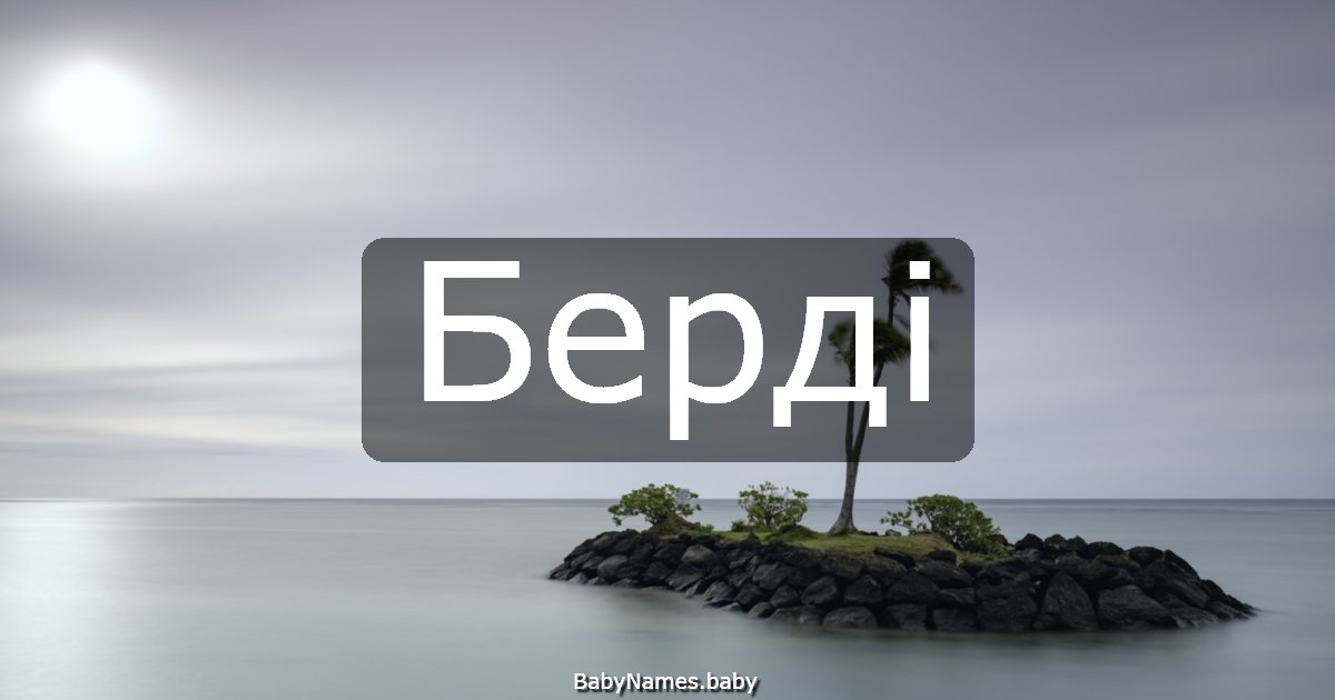 Берді