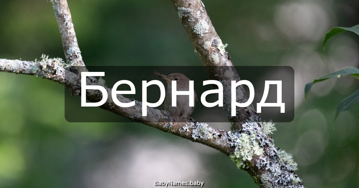 Бернард