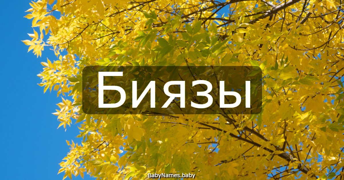 Биязы
