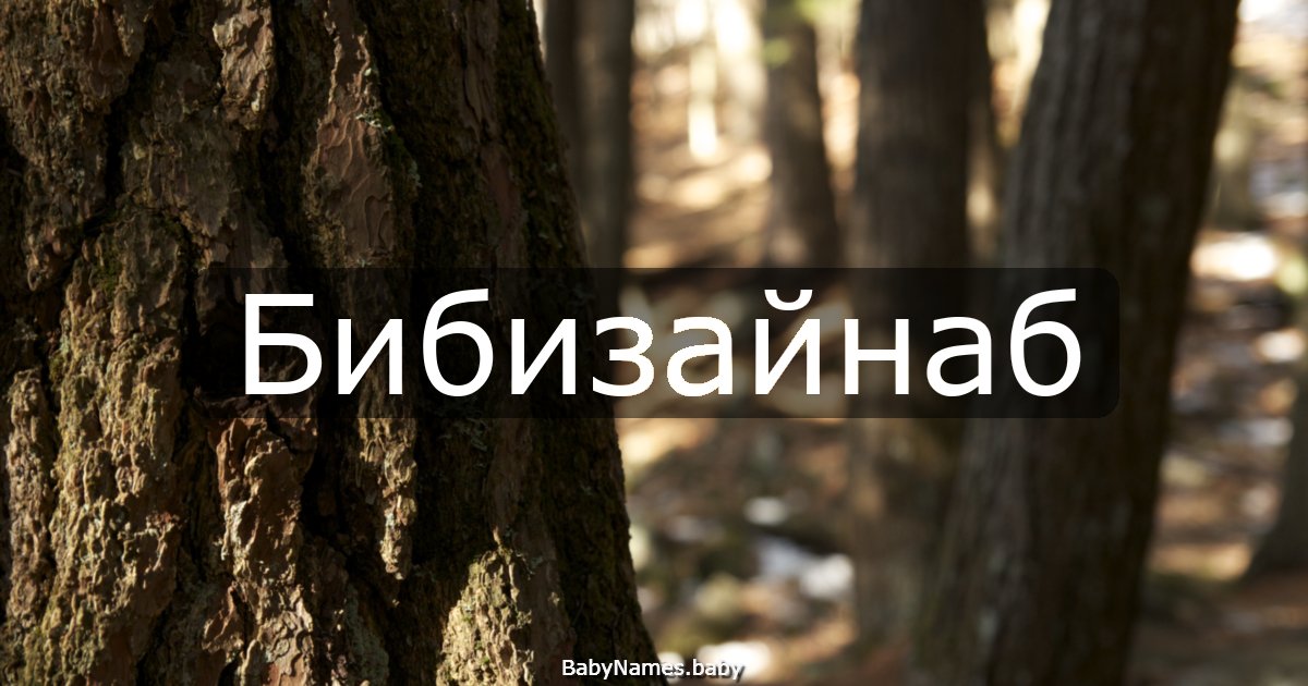 Бибизайнаб
