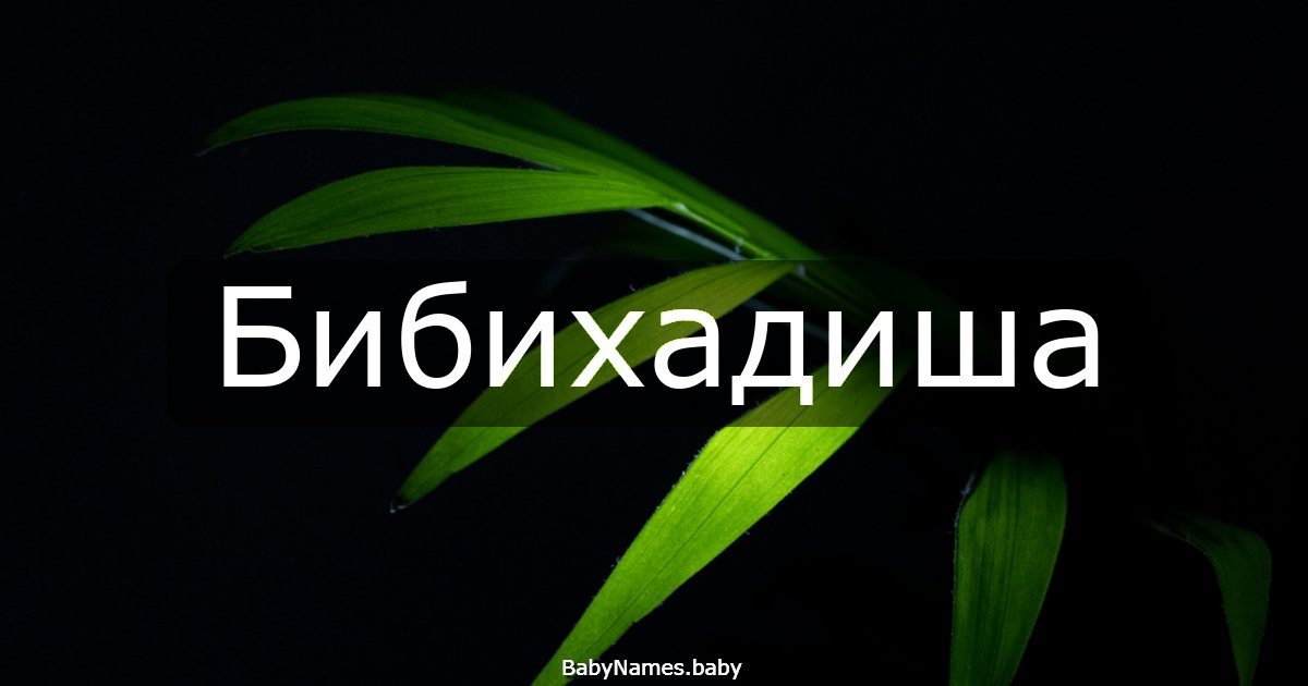 Бибихадиша