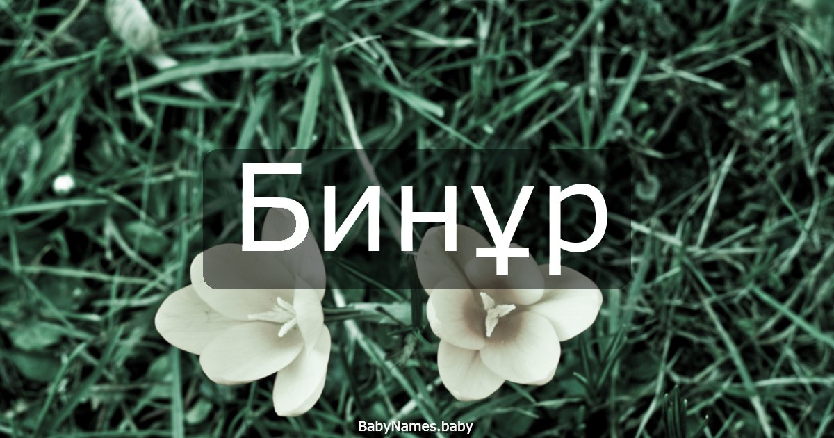 Бинұр