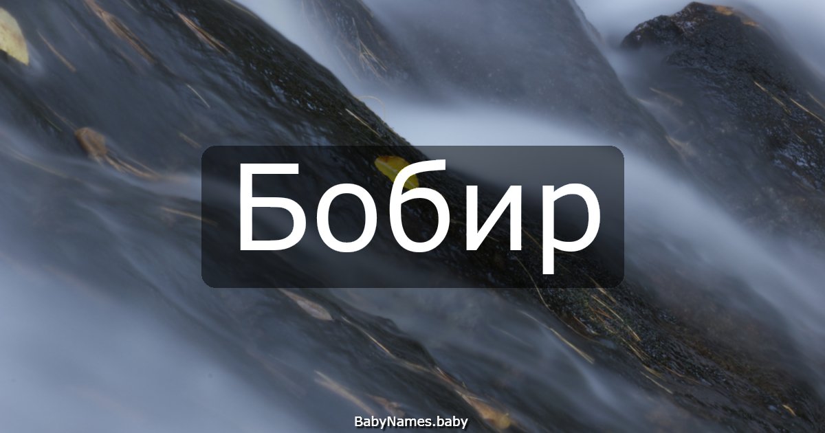 Бобир
