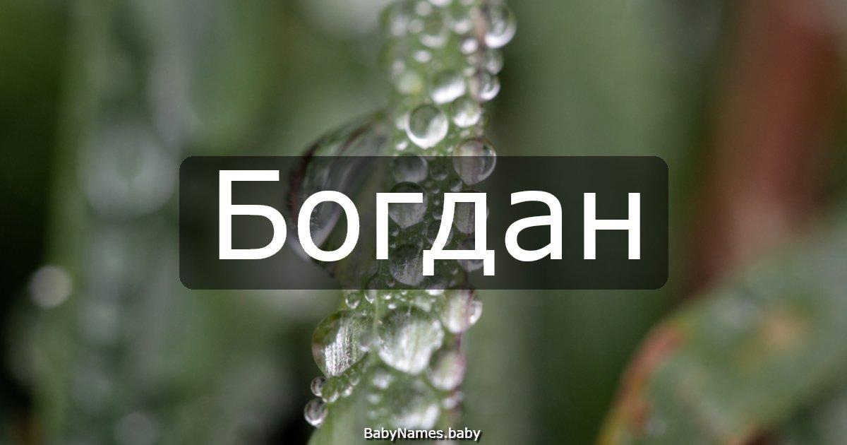 Богдан