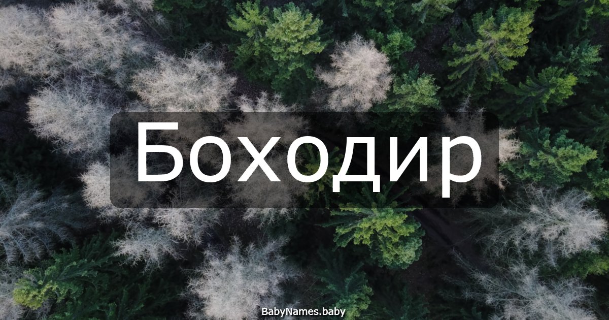 Боходир