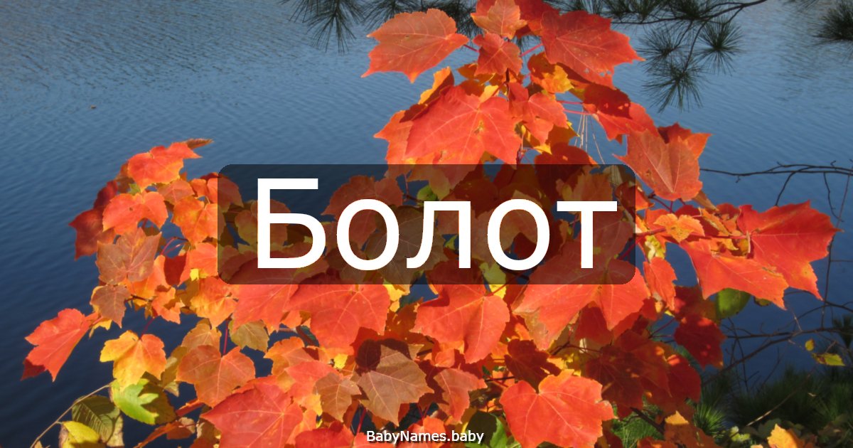Болот