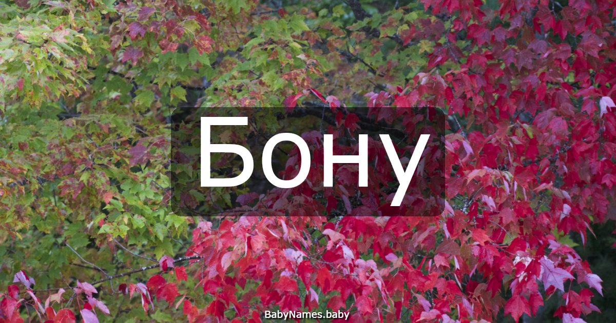 Бону
