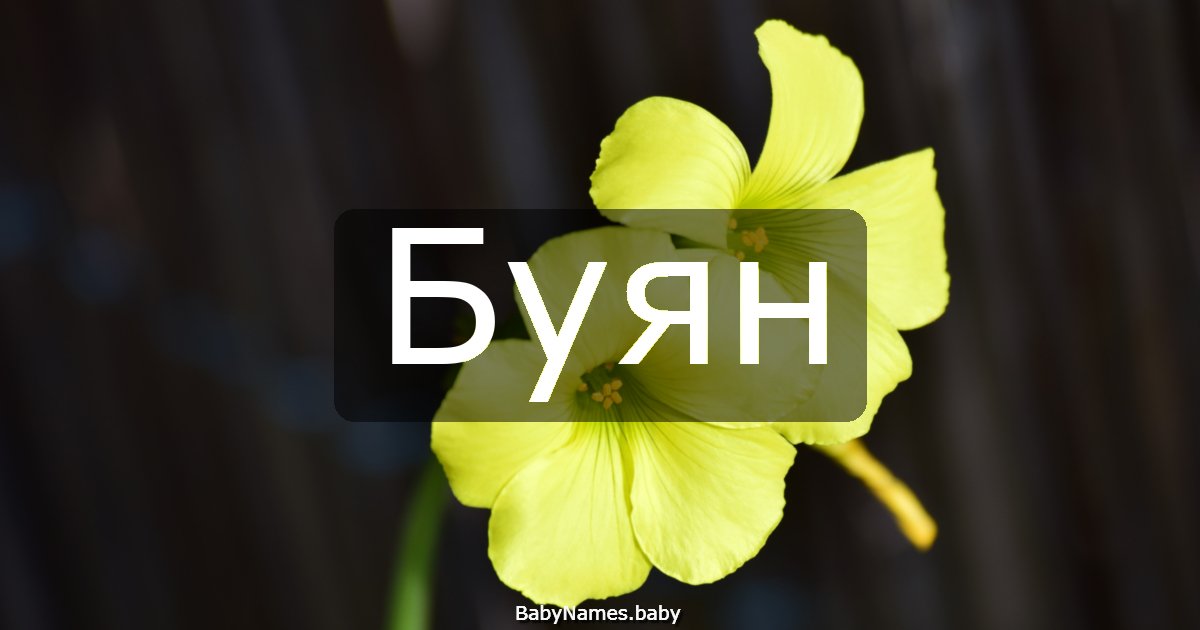 Буян