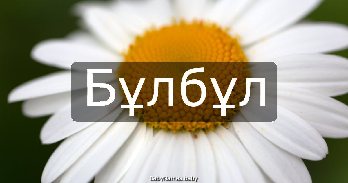 Бұлбұл