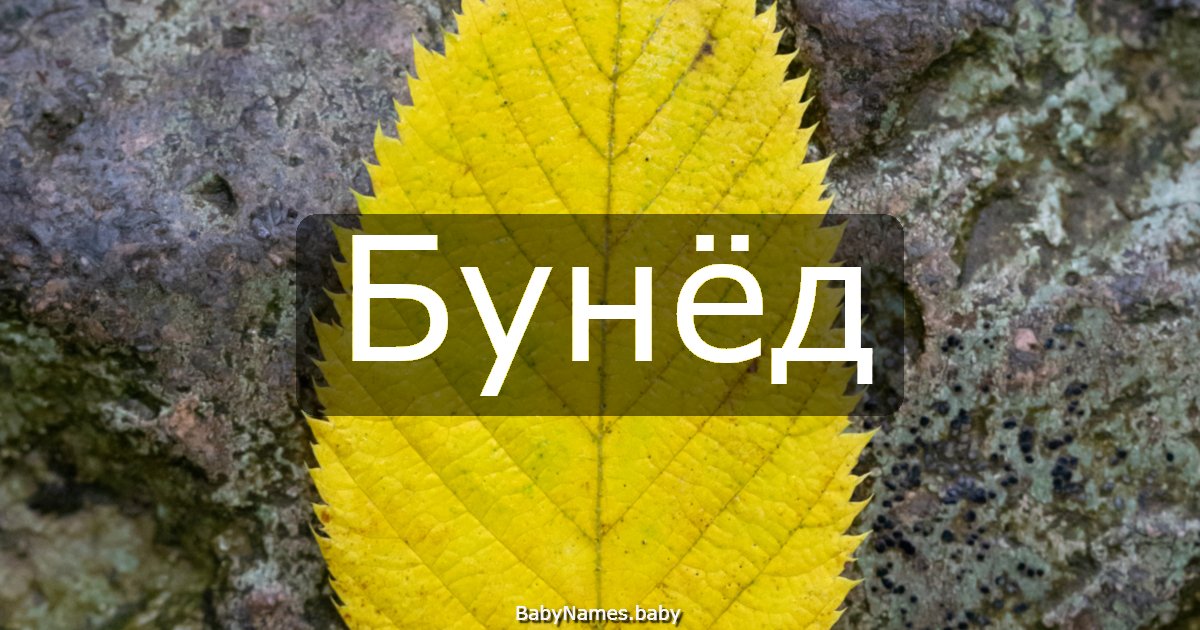 Бунёд