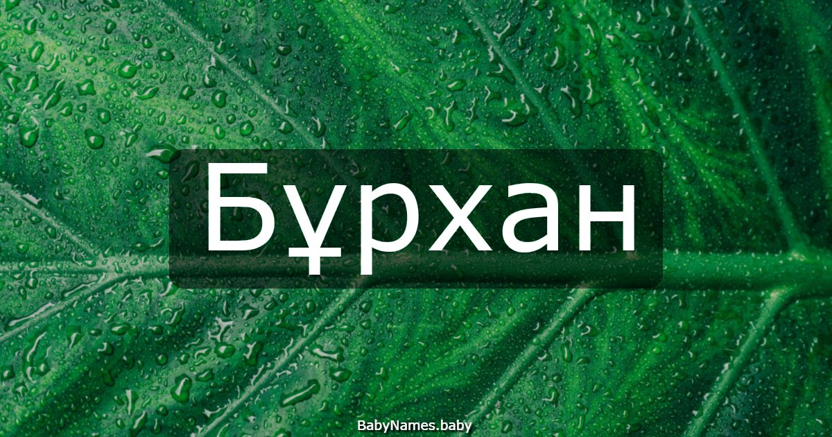 Бұрхан