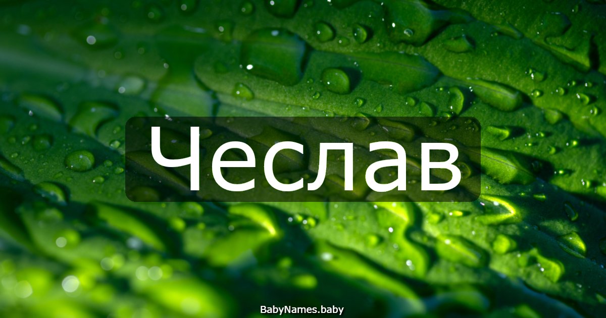 Чеслав