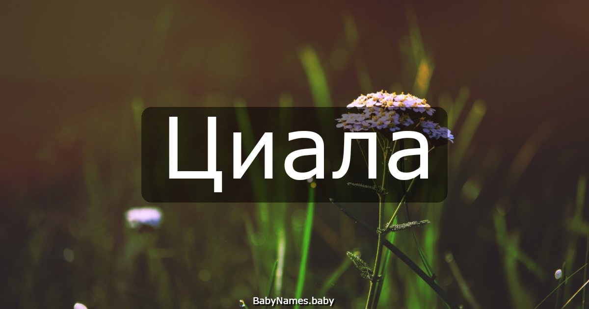 Циала