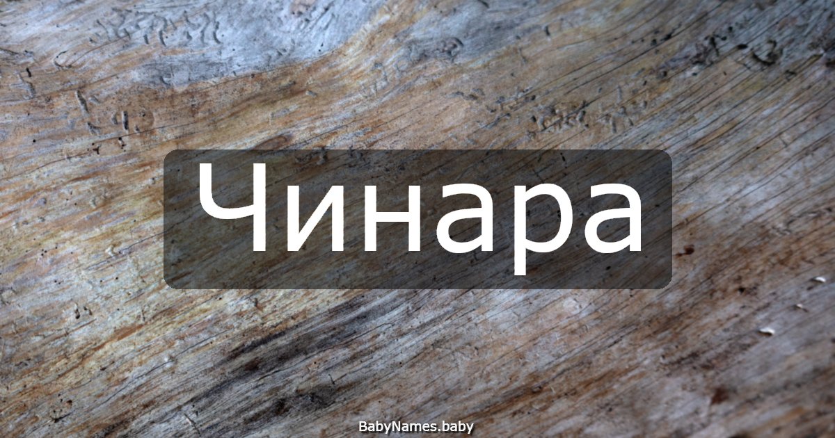 Чинара