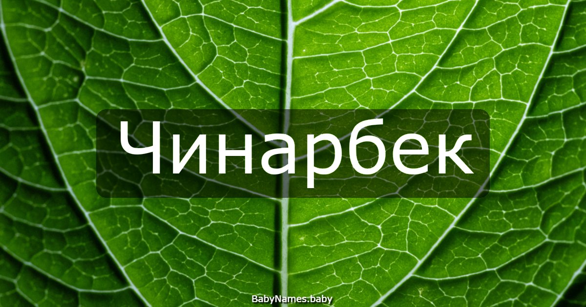 Чинарбек