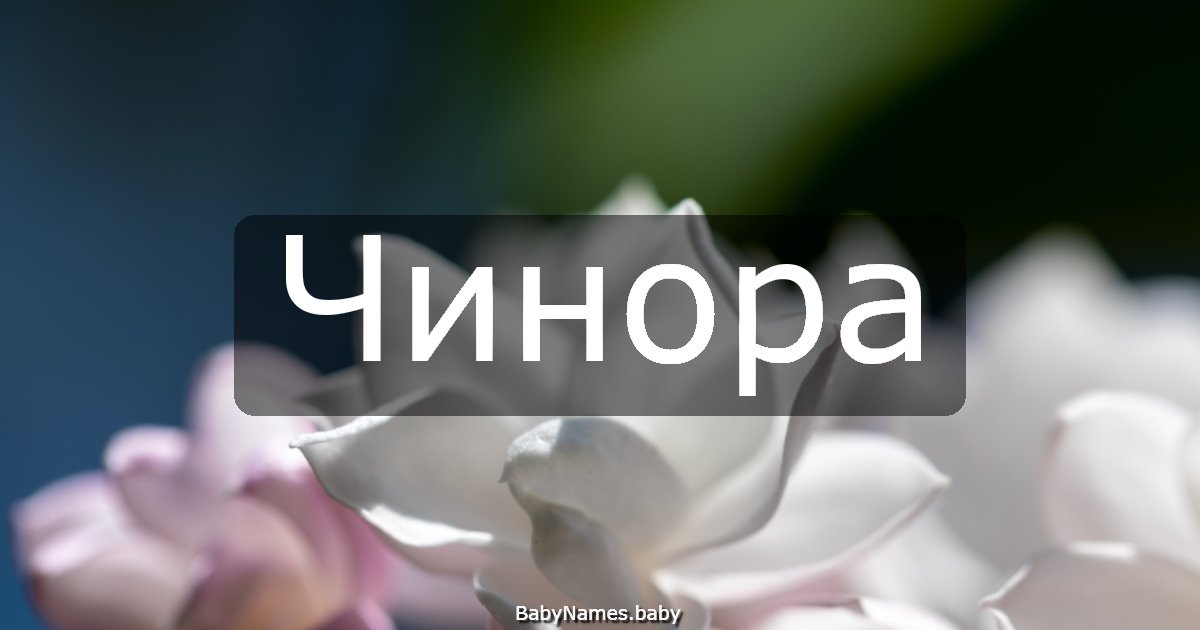 Чинора