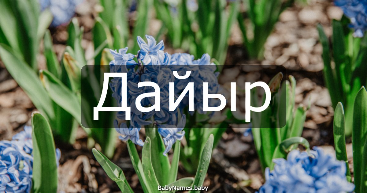 Дайыр