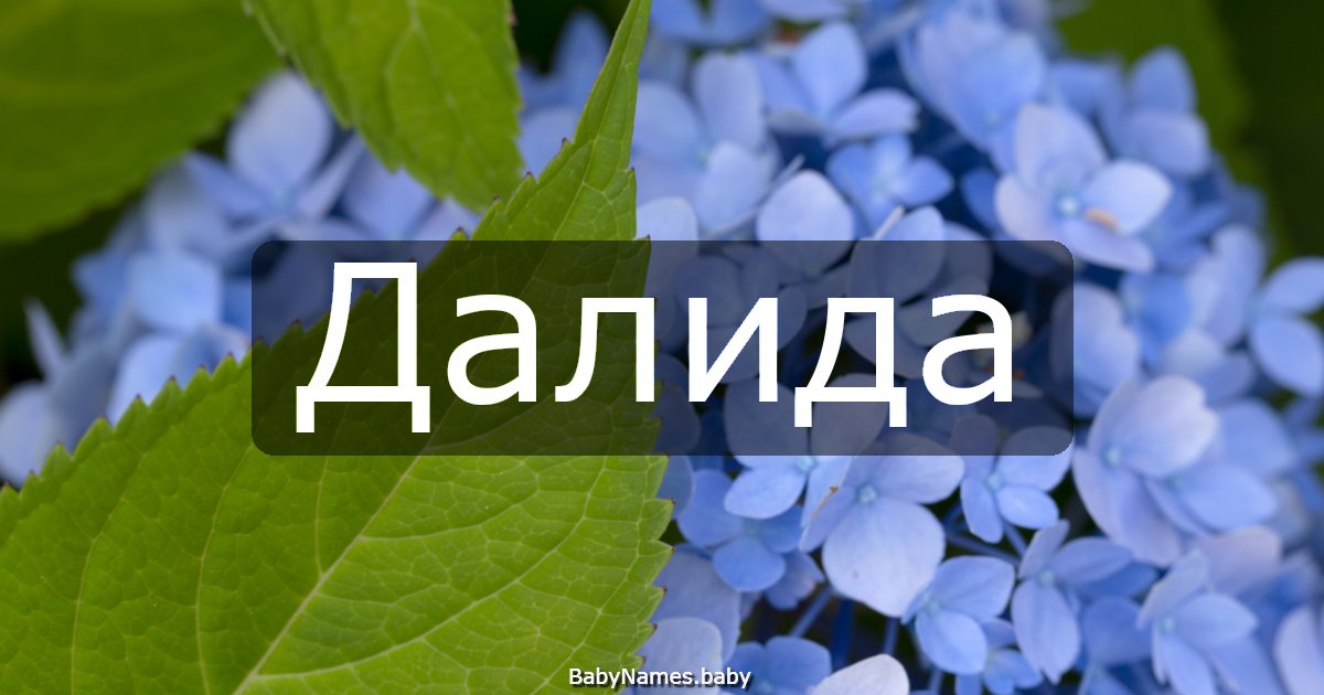Далида