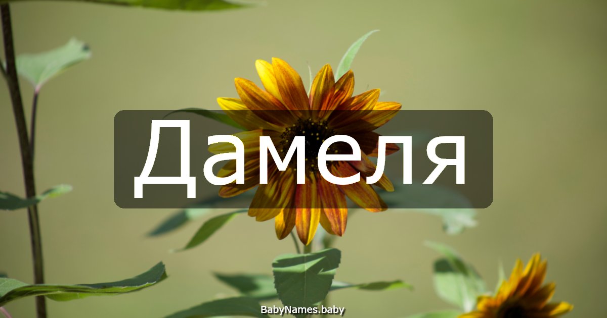 Дамеля