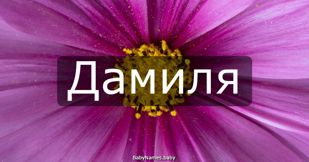 Дамиля