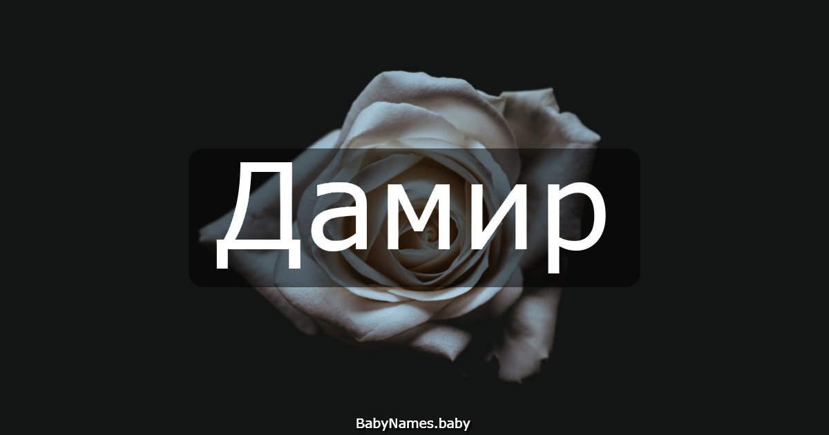 Дамир