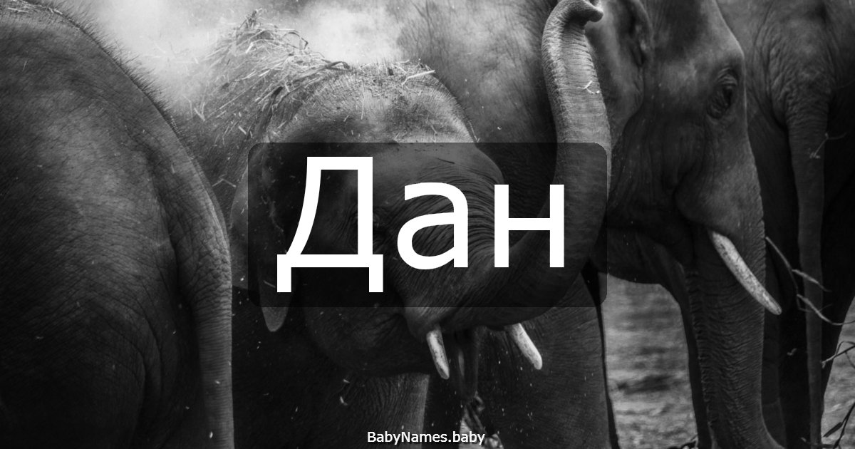 Дан
