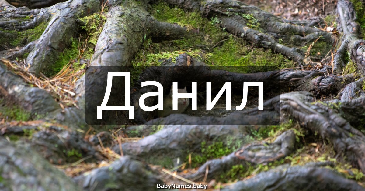 Данил