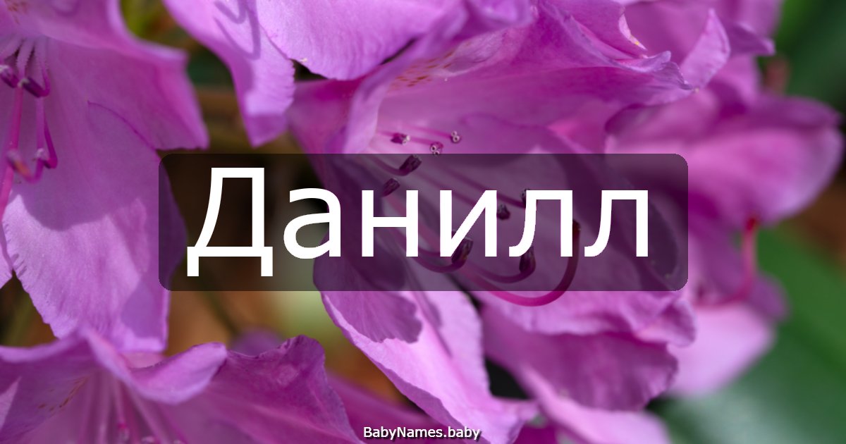 Данилл