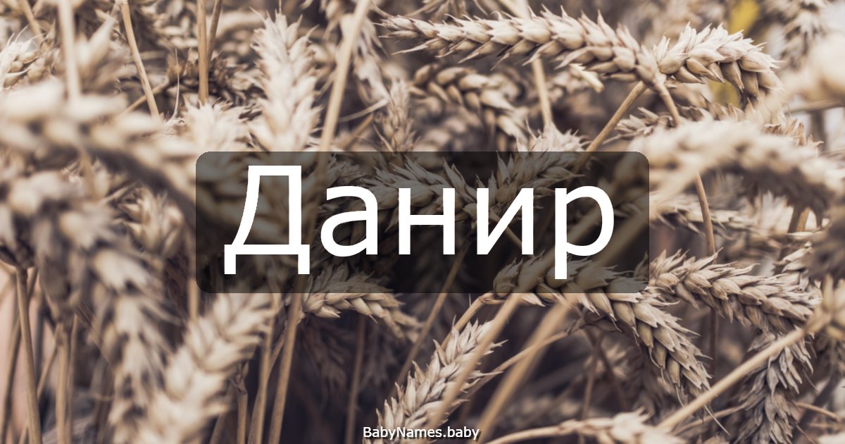 Данир