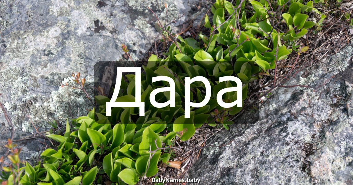 Дара