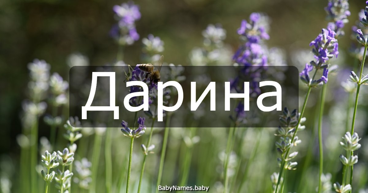 Дарина