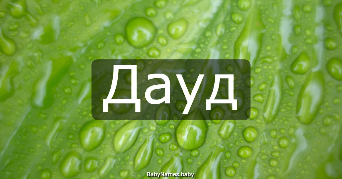 Дауд