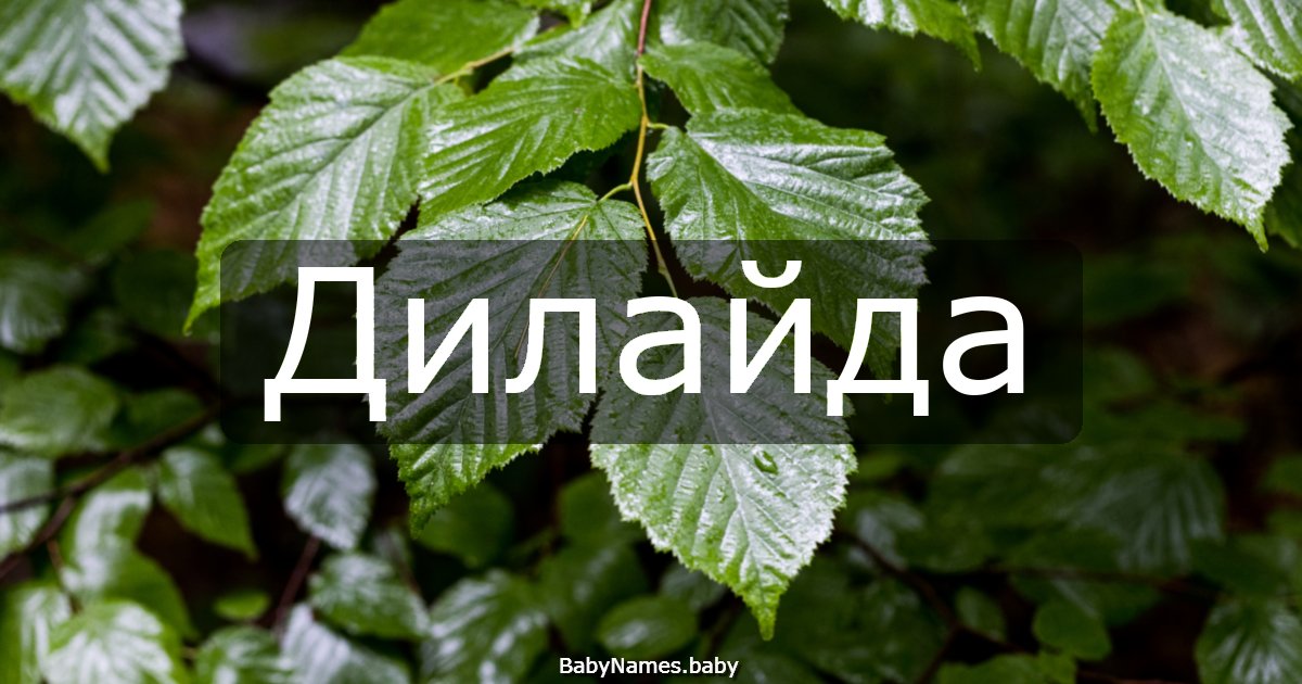 Дилайда