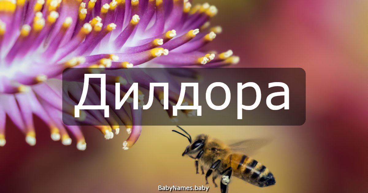 Дилдора
