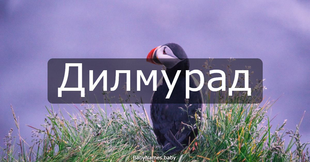 Дилмурад