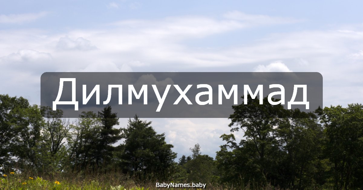 Дилмухаммад
