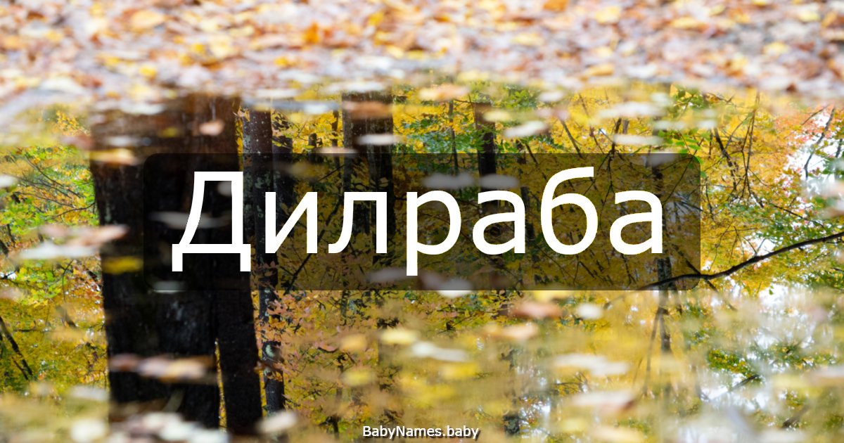 Дилраба
