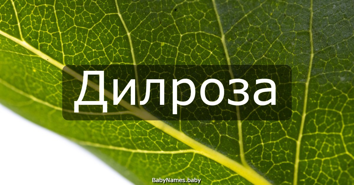 Дилроза