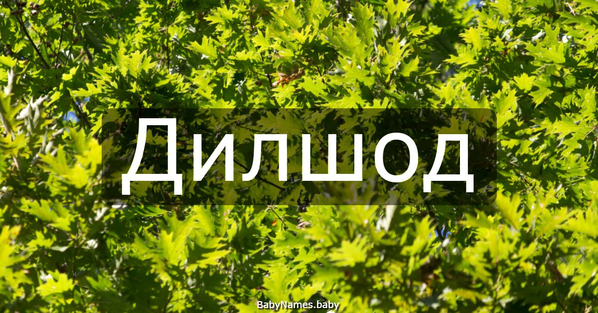 Дилшод