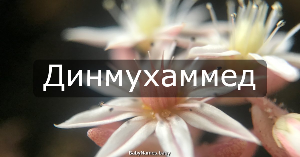 Динмухаммед
