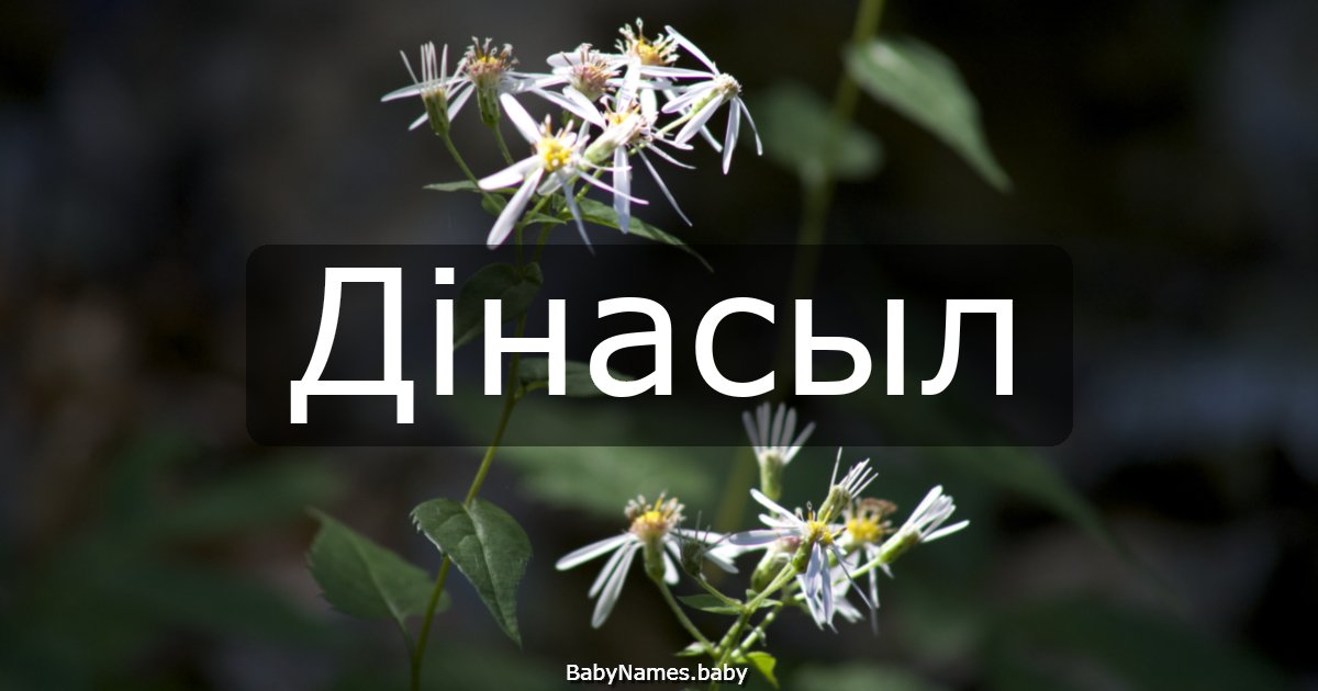 Дінасыл