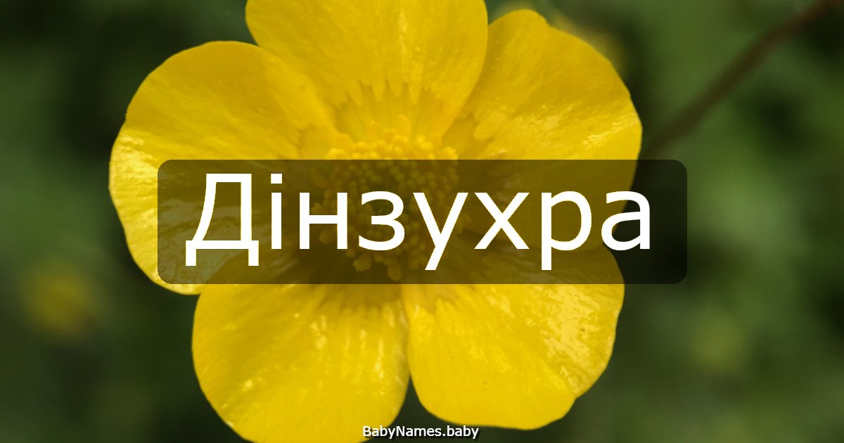 Дінзухра