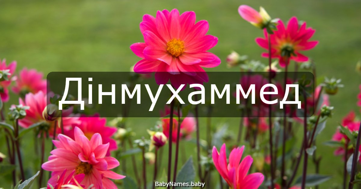 Дінмухаммед