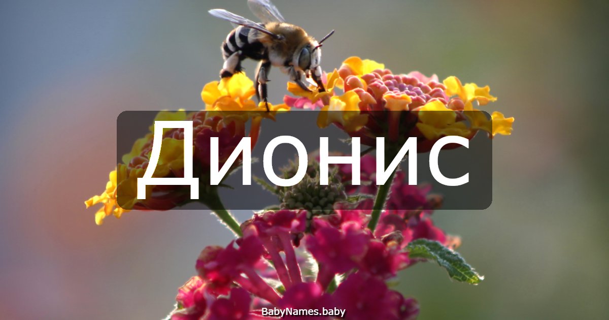 Дионис