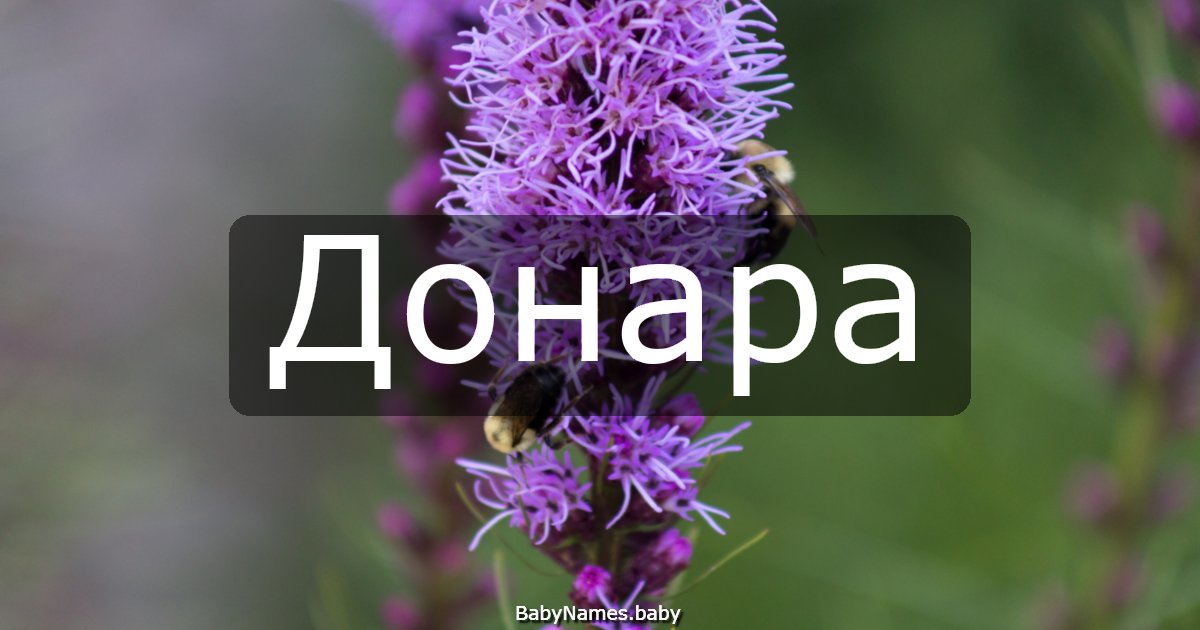 Донара