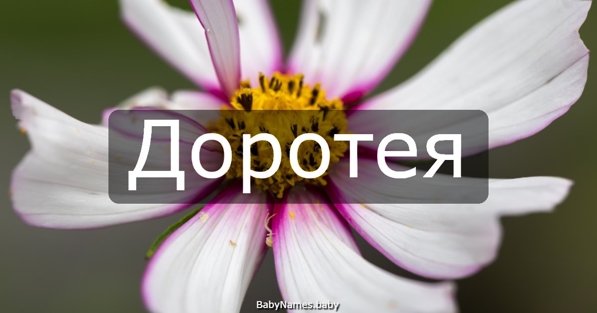 Доротея