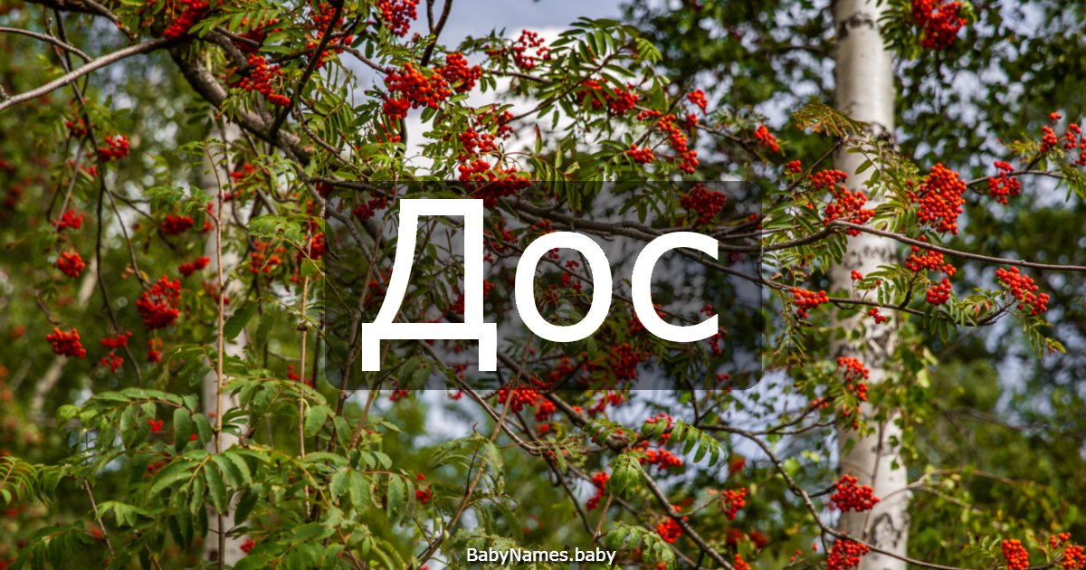 Дос